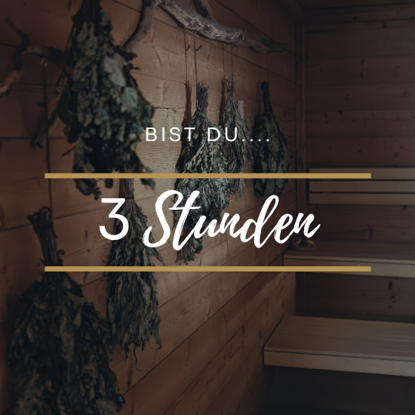 Bild von Sauna 3h